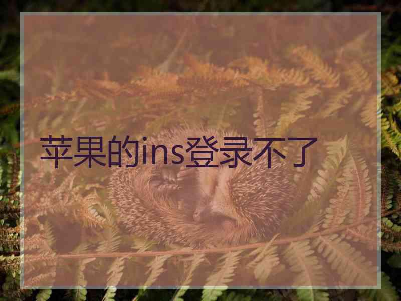 苹果的ins登录不了