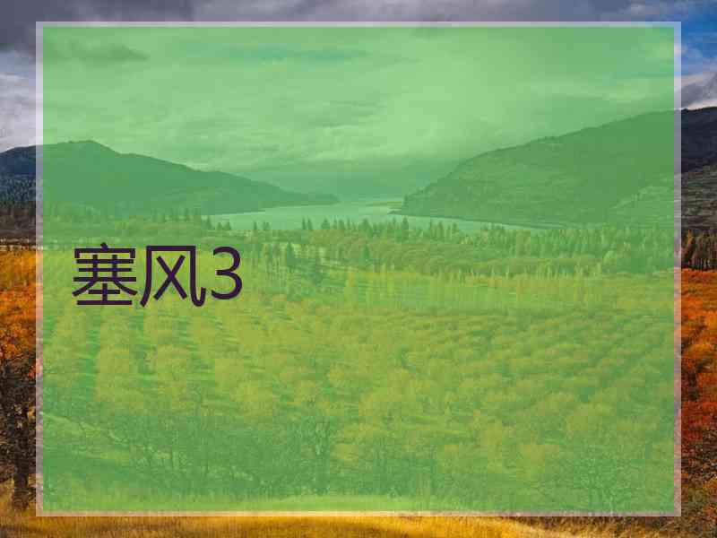 塞风3