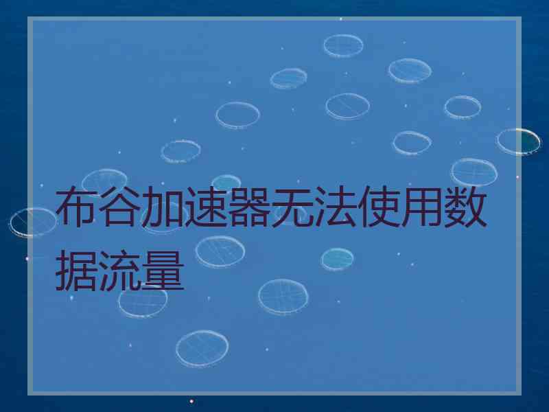 布谷加速器无法使用数据流量
