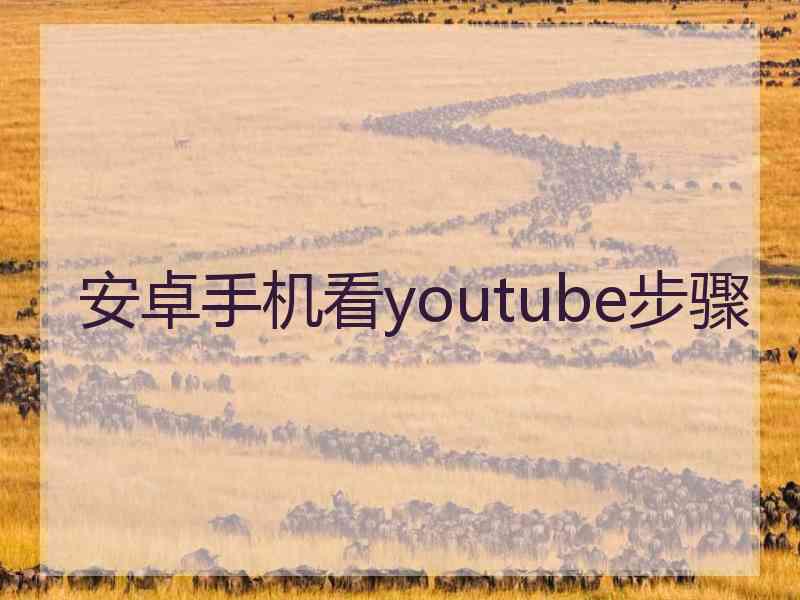 安卓手机看youtube步骤