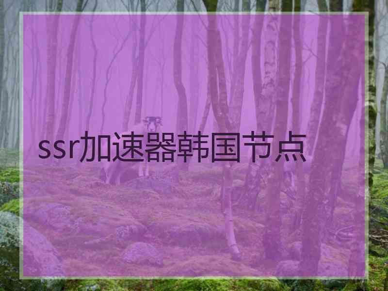 ssr加速器韩国节点