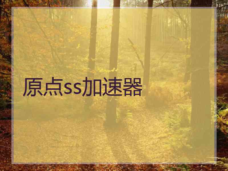 原点ss加速器