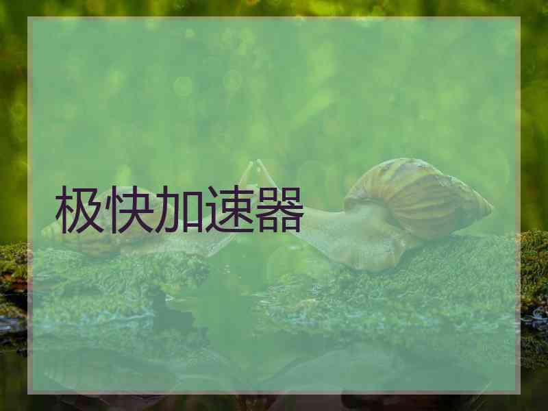 极快加速器