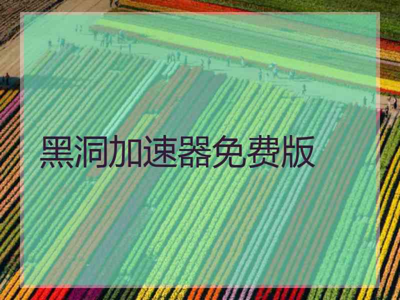 黑洞加速器免费版