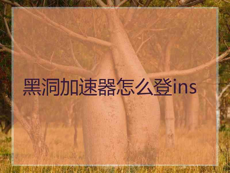 黑洞加速器怎么登ins