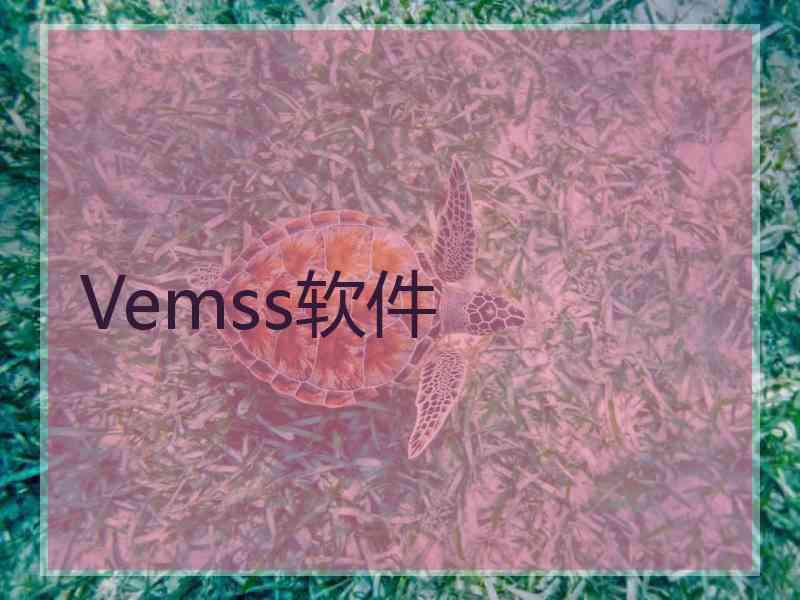 Vemss软件