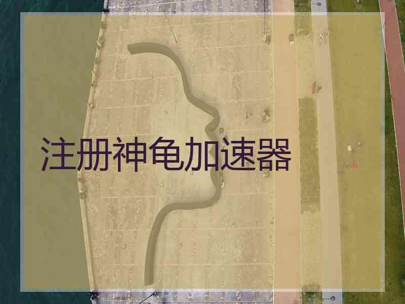 注册神龟加速器