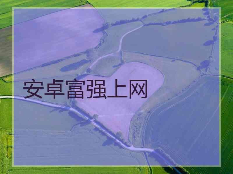安卓富强上网