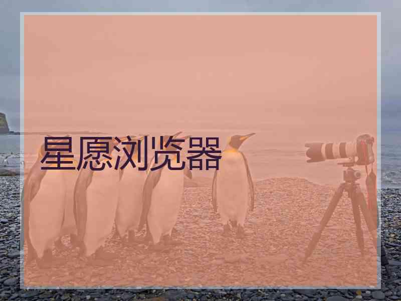 星愿浏览器