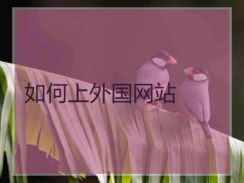 如何上外国网站