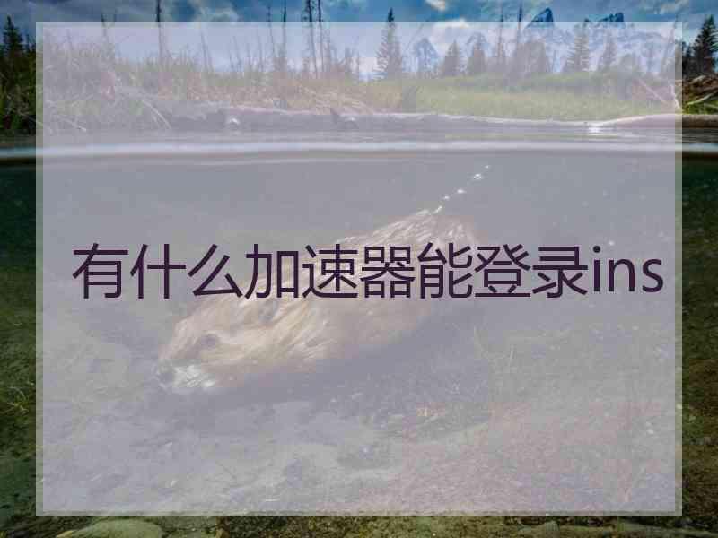 有什么加速器能登录ins