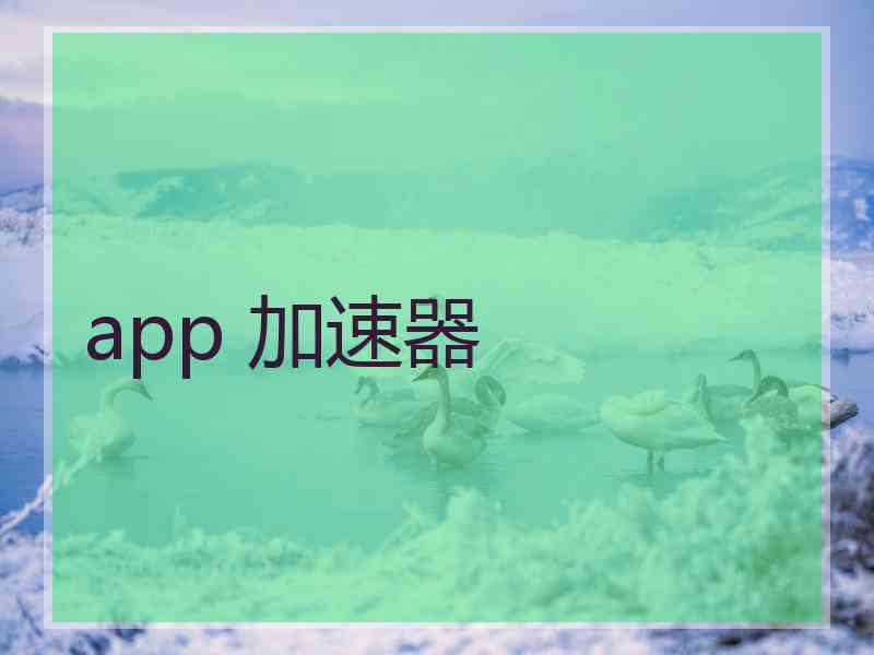 app 加速器