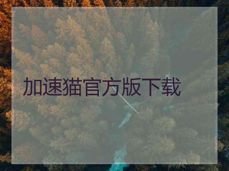 加速猫官方版下载