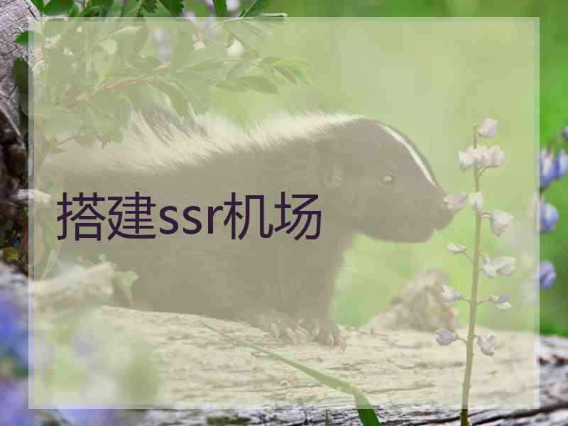 搭建ssr机场