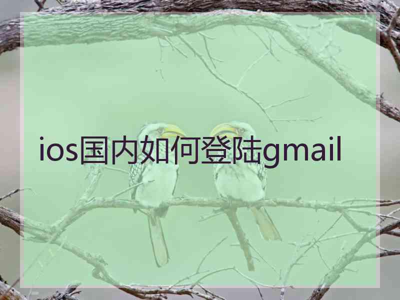 ios国内如何登陆gmail