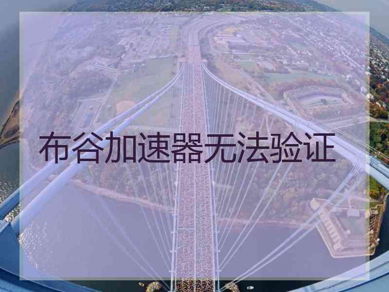 布谷加速器无法验证