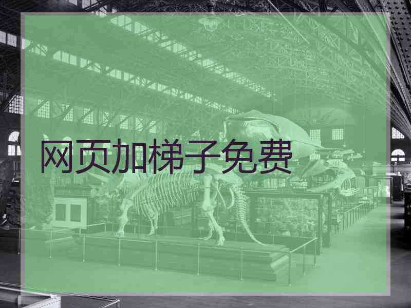 网页加梯子免费