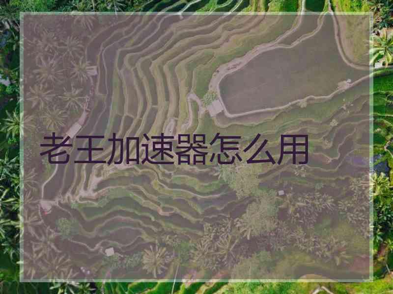 老王加速器怎么用