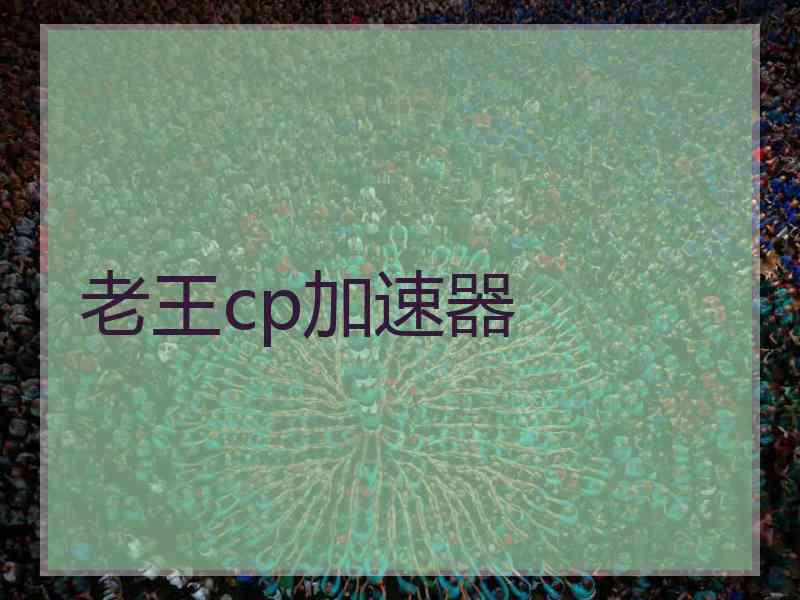 老王cp加速器