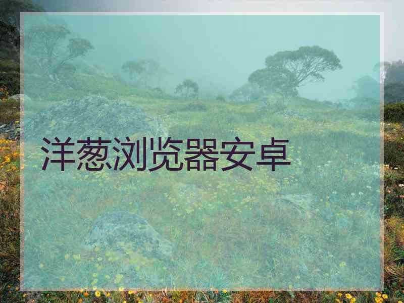 洋葱浏览器安卓