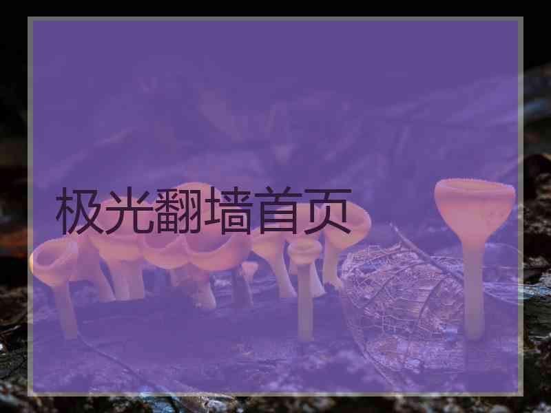 极光翻墙首页