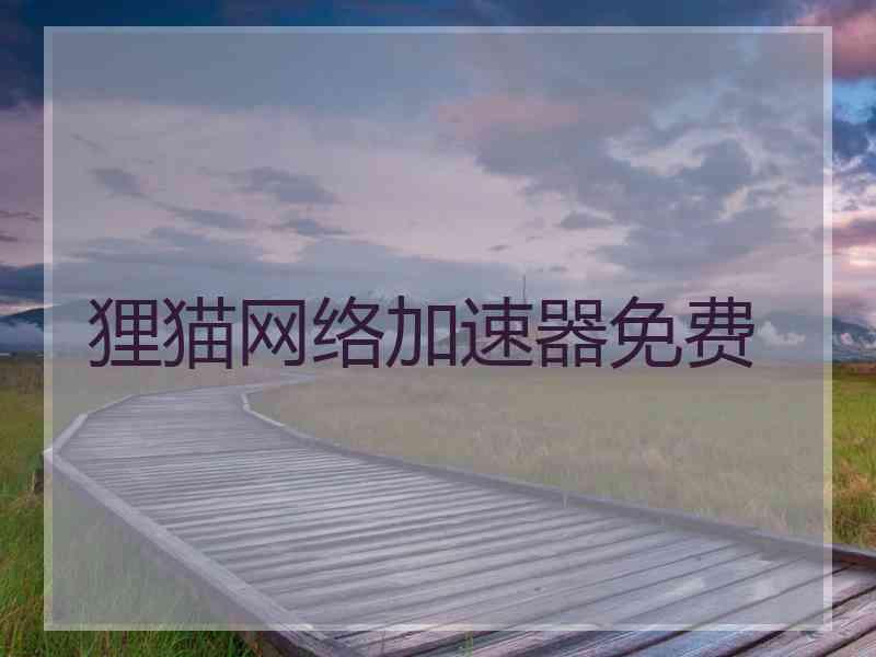 狸猫网络加速器免费
