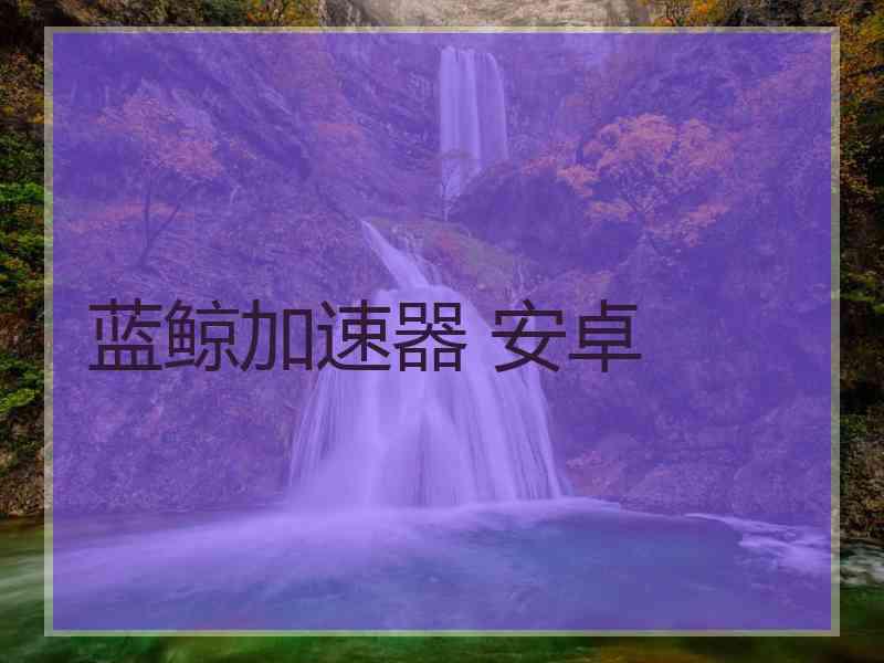 蓝鲸加速器 安卓