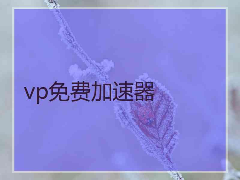 vp免费加速器