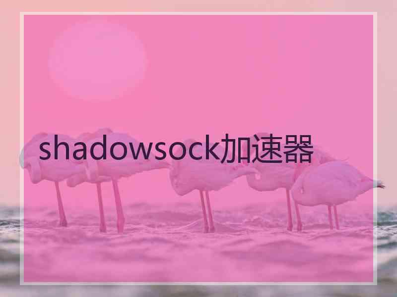 shadowsock加速器