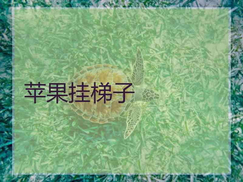 苹果挂梯子