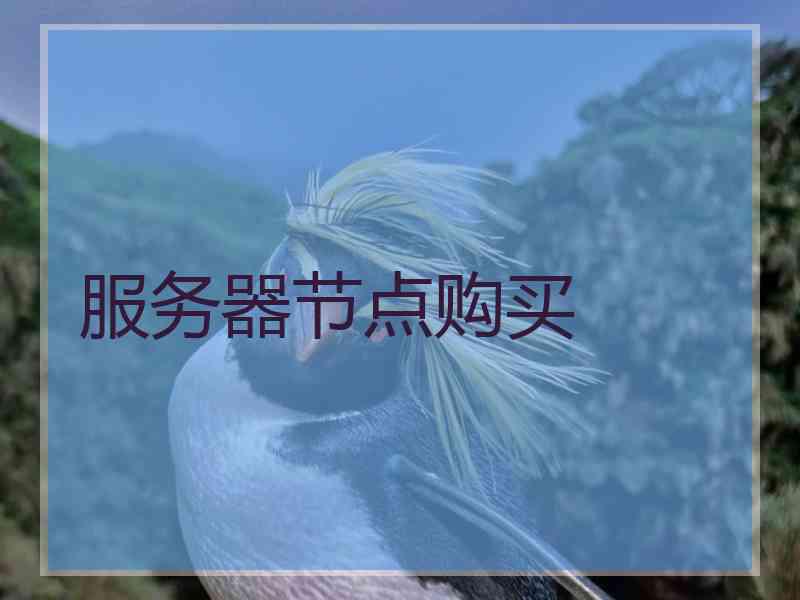 服务器节点购买