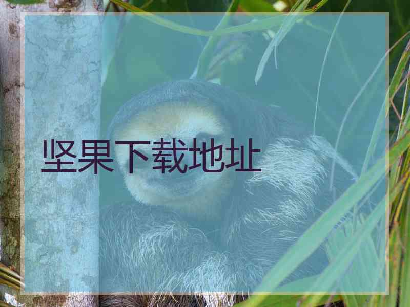 坚果下载地址