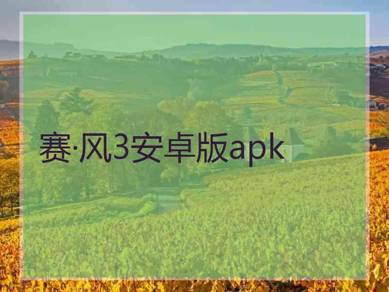 赛·风3安卓版apk
