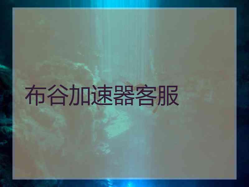布谷加速器客服