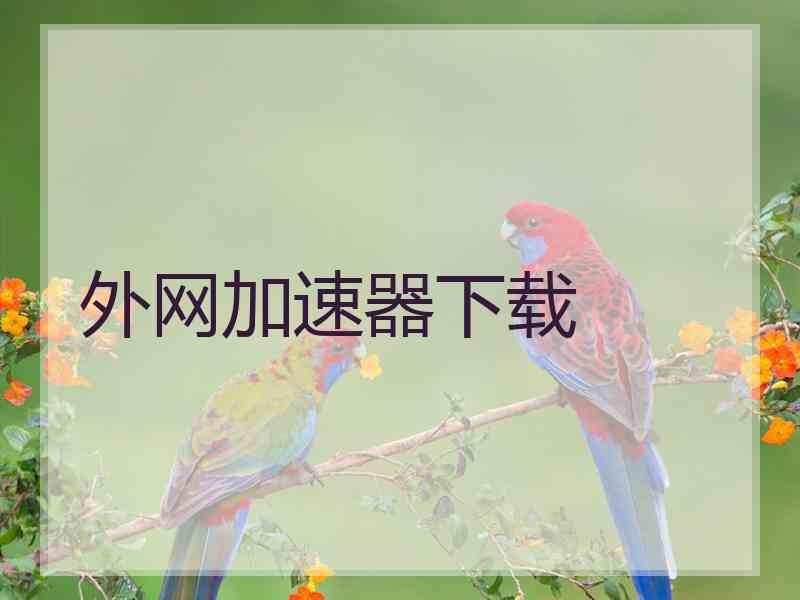 外网加速器下载