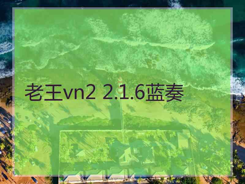 老王vn2 2.1.6蓝奏