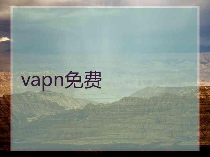 vapn免费