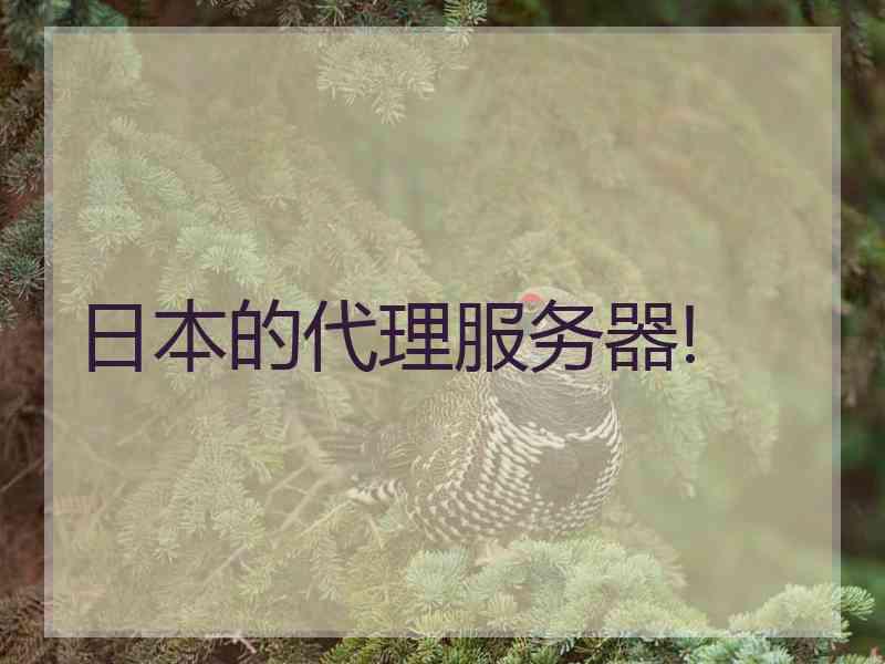 日本的代理服务器!