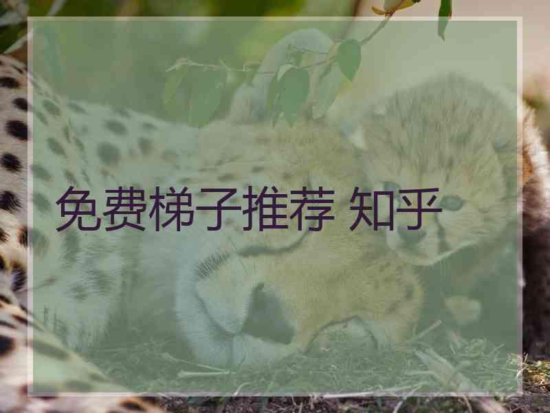 免费梯子推荐 知乎