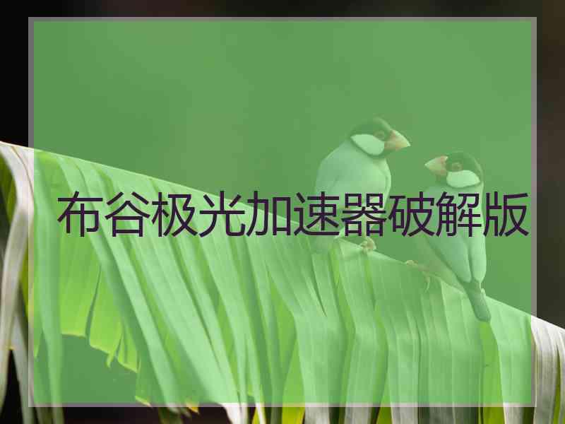 布谷极光加速器破解版