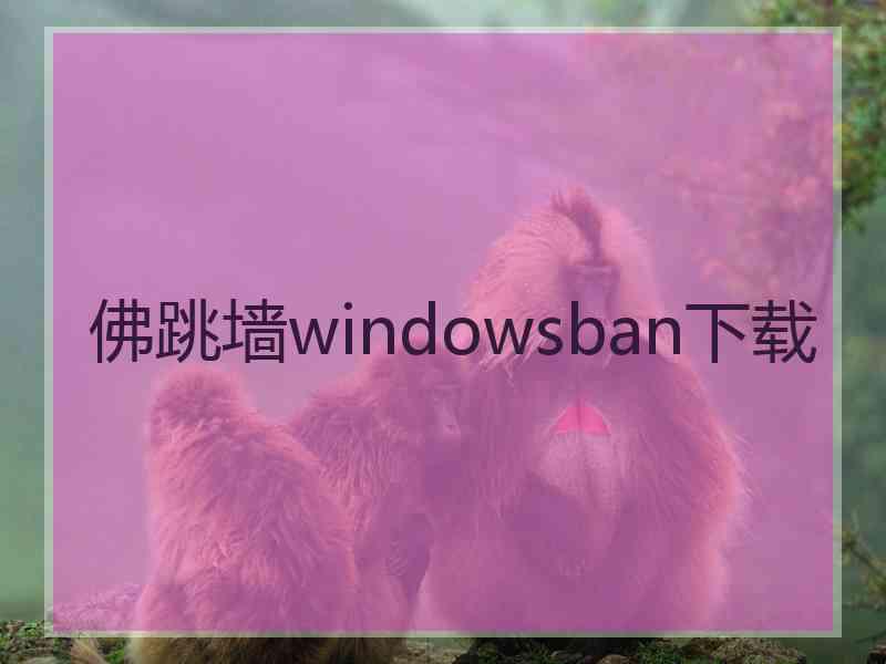 佛跳墙windowsban下载