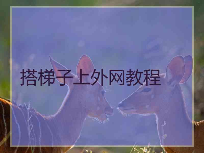 搭梯子上外网教程