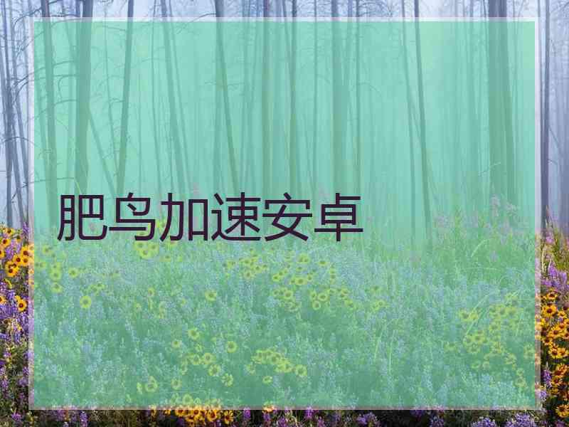 肥鸟加速安卓