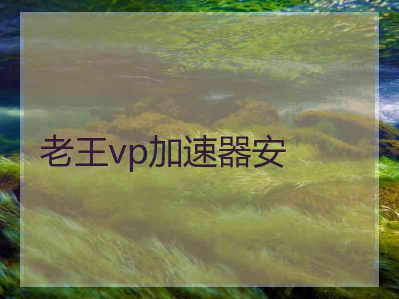 老王vp加速器安