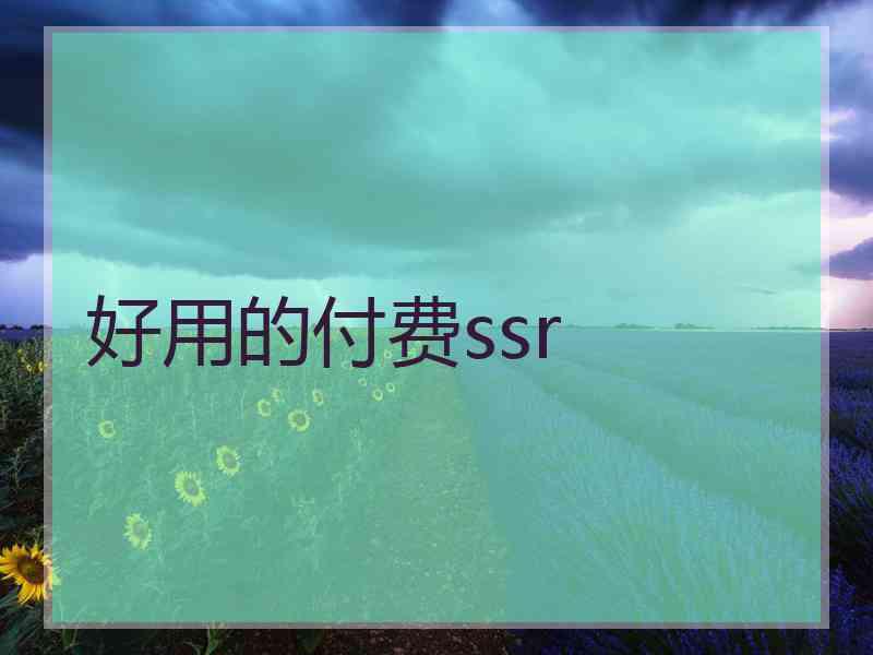 好用的付费ssr