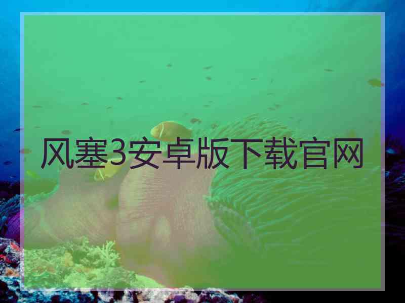风塞3安卓版下载官网
