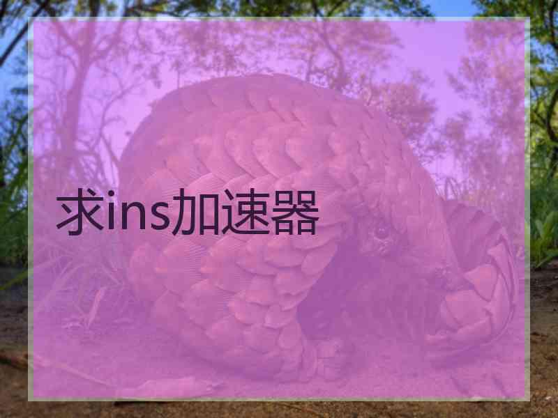 求ins加速器