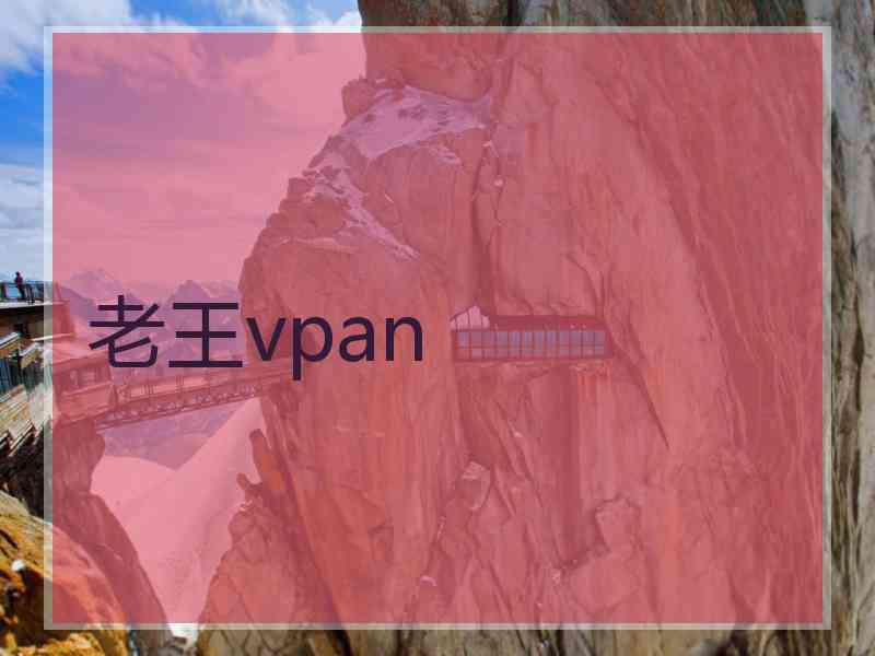 老王vpan
