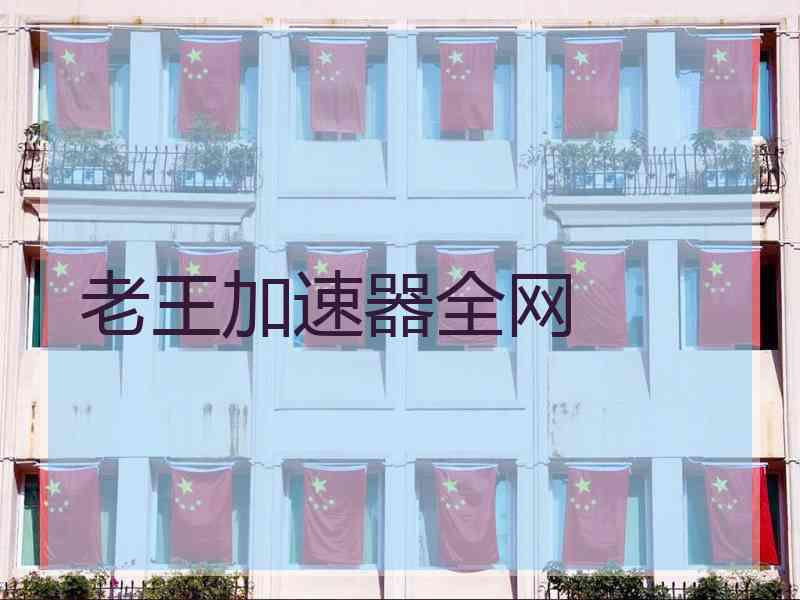 老王加速器全网