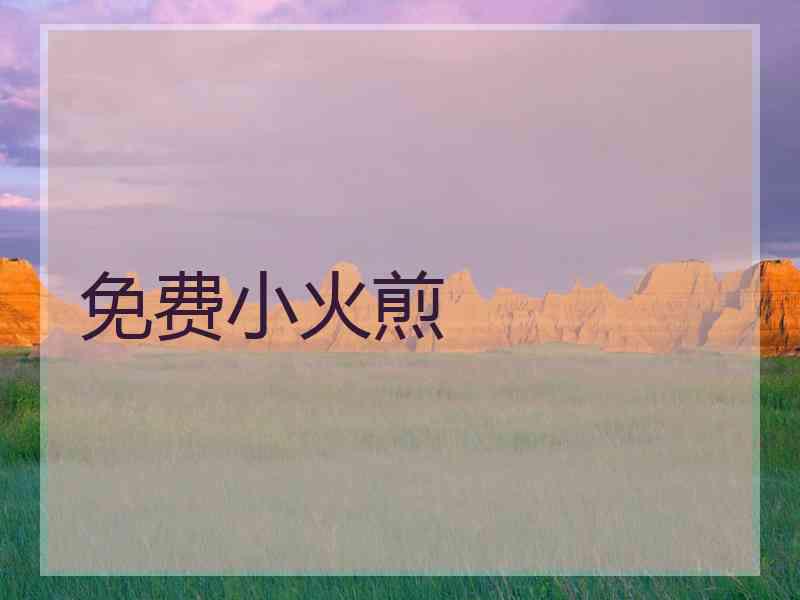 免费小火煎